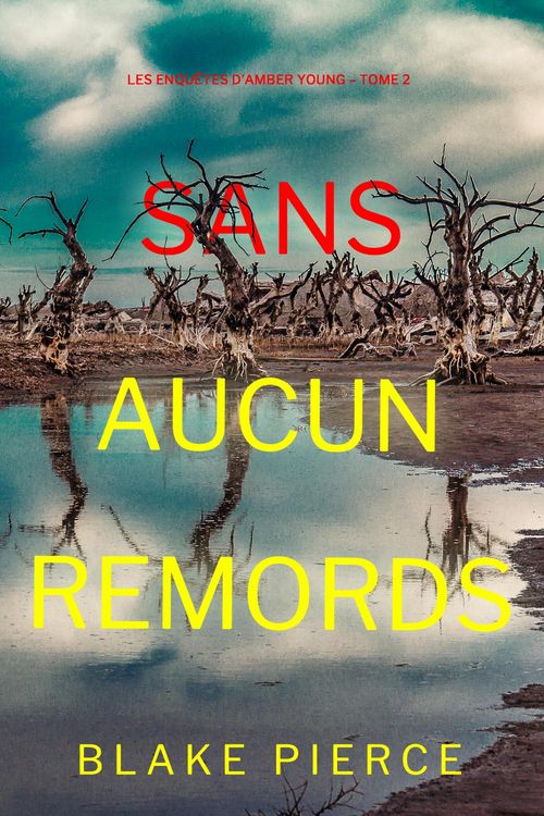 Produktbild: Sans aucun remords (Les enqu&ecirc;tes d'Amber Young - Tome 2)