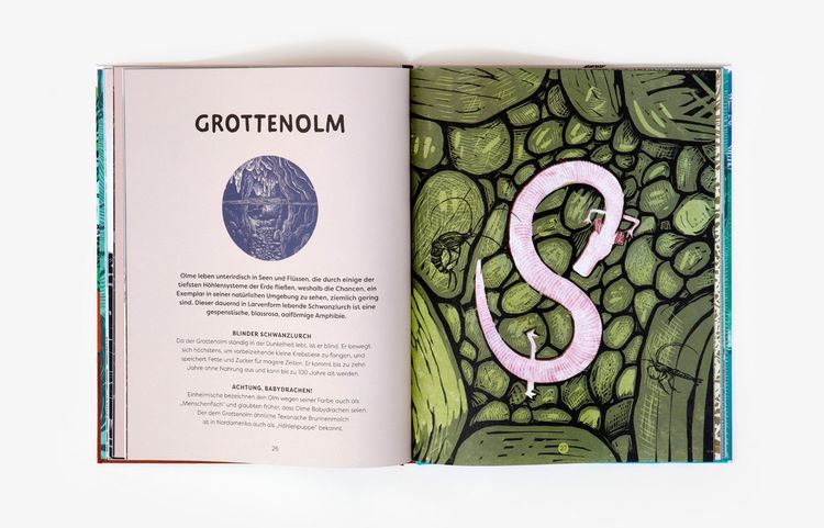 Produktbild: Oben, unten und lange her