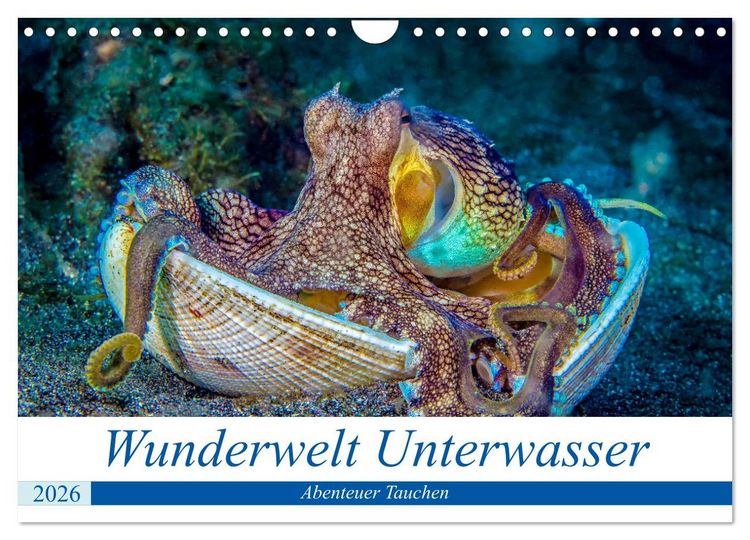 Produktbild: Wunderwelt Unterwasser (Wandkalender 2026 DIN A4 quer), CALVENDO Monatskalender