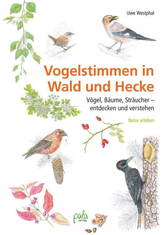 Produktbild: Vogelstimmen in Wald und Hecke