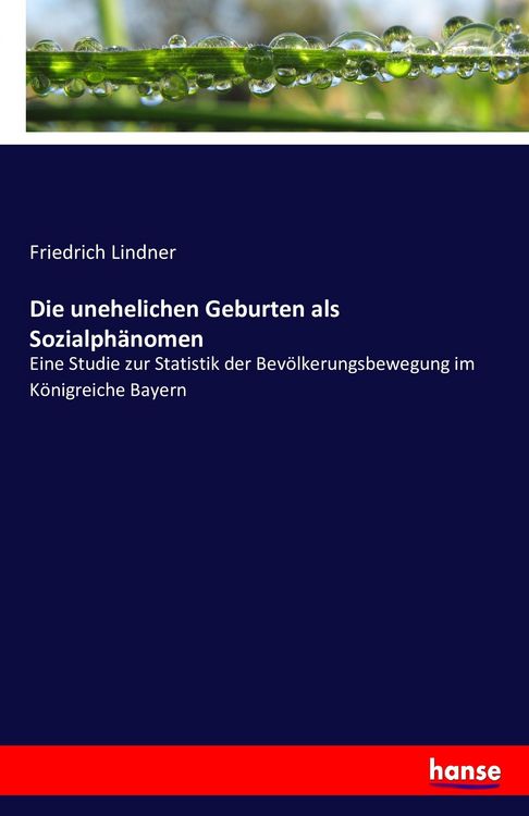 Produktbild: Die unehelichen Geburten als Sozialph&auml;nomen