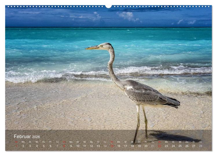 Produktbild: Malediven Impressionen aus dem Paradies (Wandkalender 2026 DIN A2 quer), CALVENDO Monatskalender
