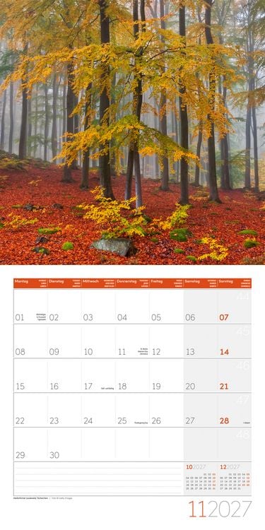 Produktbild: Zauber des Waldes Kalender 2027 - 30x30 - Art12