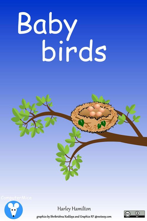 Produktbild: Baby Birds