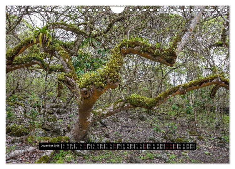 Produktbild: Galapagos- Landschaften (Wandkalender 2026 DIN A4 quer), CALVENDO Monatskalender