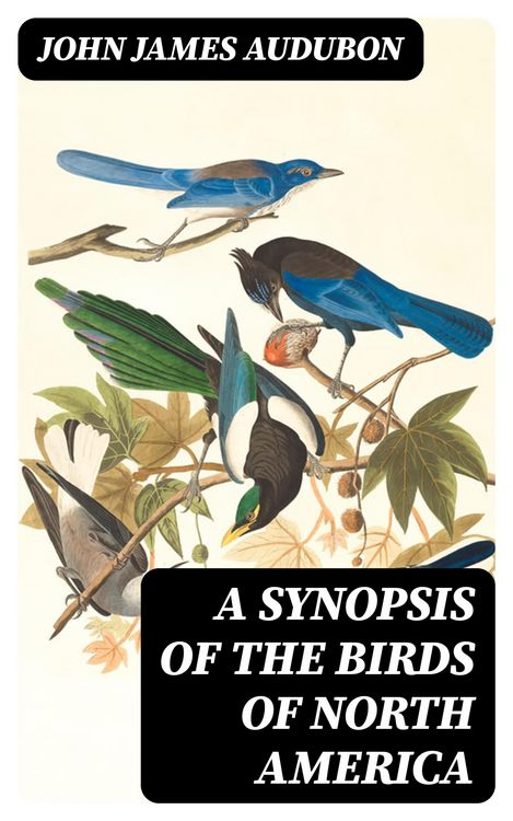 Produktbild: A Synopsis of the Birds of North America