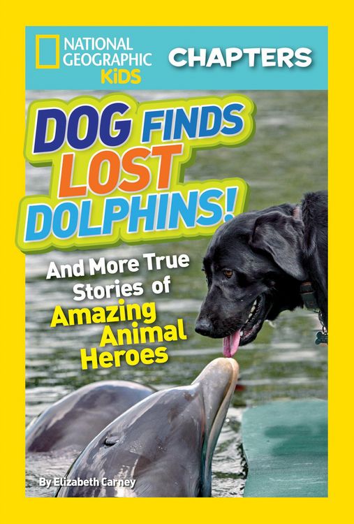 Produktbild: National Geographic Kids Chapters: Dog Finds Lost Dolphins!