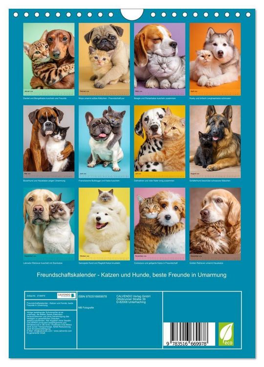 Produktbild: Freundschaftskalender - Katzen und Hunde, beste Freunde in Umarmung (Wandkalender 2026 DIN A4 hoch), CALVENDO Monatskalender
