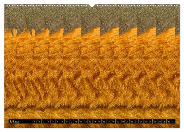 Produktbild: Magische Bilder - 3D Stereogramme (Wandkalender 2026 DIN A2 quer), CALVENDO Monatskalender