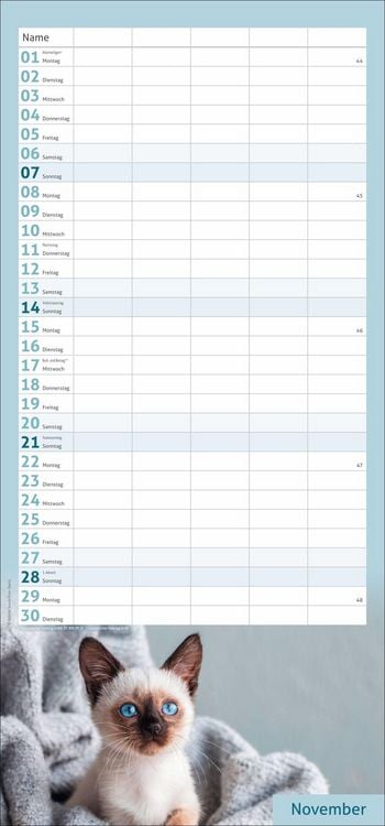 Produktbild: times&more Katzen Familienplaner 2027