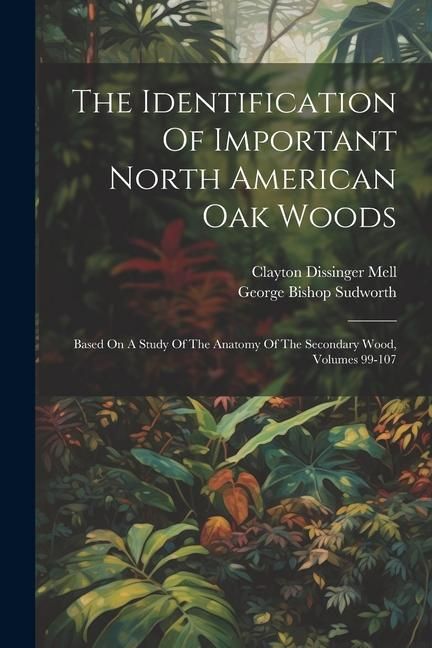 Produktbild: The Identification Of Important North American Oak Woods