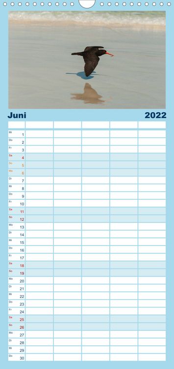 Produktbild: Familienplaner V&ouml;gel von "Down Under" Australien (Wandkalender 2022 , 21 cm x 45 cm, hoch)