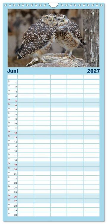 Produktbild: Familienplaner 2027 - Greifv&ouml;gel, Eulen und K&auml;uze mit 5 Spalten (Wandkalender, 21 x 45 cm) CALVENDO