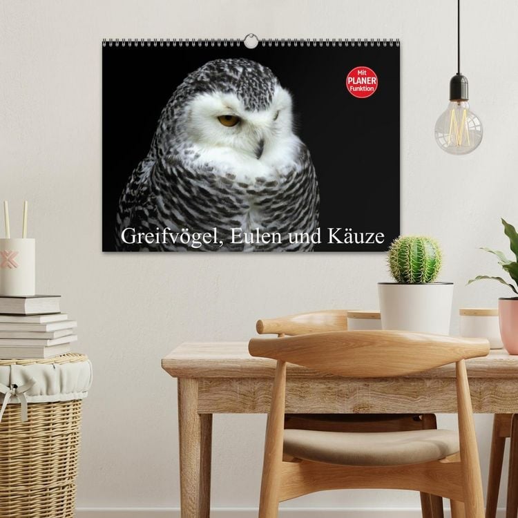 Produktbild: Greifv&ouml;gel, Eulen und K&auml;uze (Wandkalender 2026 DIN A3 quer), CALVENDO Monatskalender