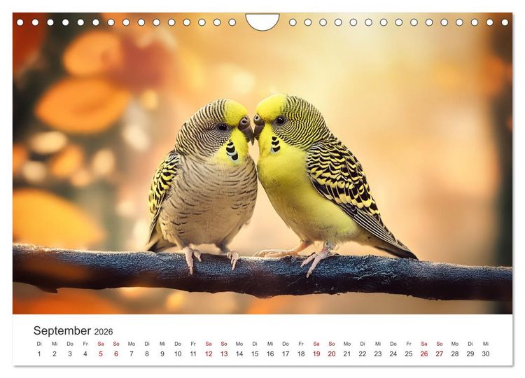 Produktbild: Zwitscherzeit - Ein Kalender voller Wellensittiche (Wandkalender 2026 DIN A4 quer), CALVENDO Monatskalender