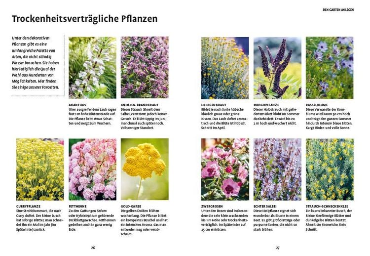 Produktbild: In den Garten, fertig, los!