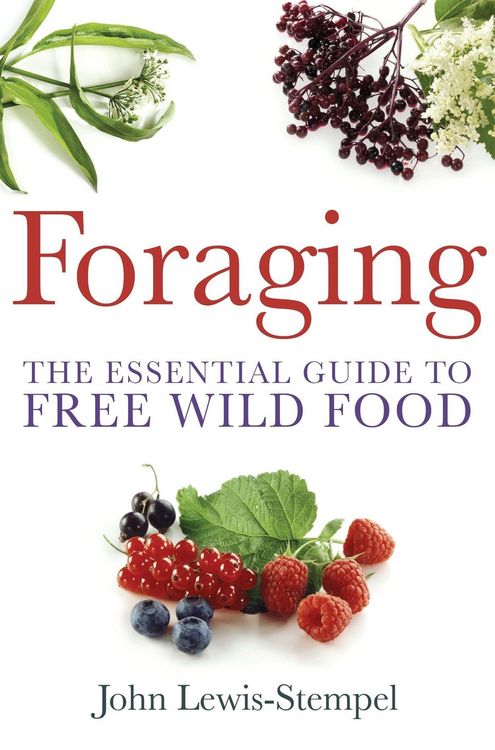Produktbild: Foraging