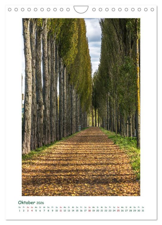 Produktbild: Insel Reichenau im Bodensee (Wandkalender 2026 DIN A4 hoch), CALVENDO Monatskalender
