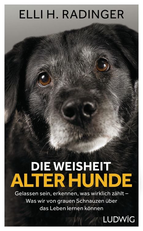 Produktbild: Die Weisheit alter Hunde
