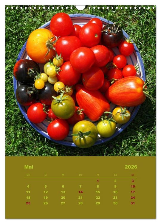 Produktbild: Tomaten - Alles BIO! (Wandkalender 2026 DIN A3 hoch), CALVENDO Monatskalender