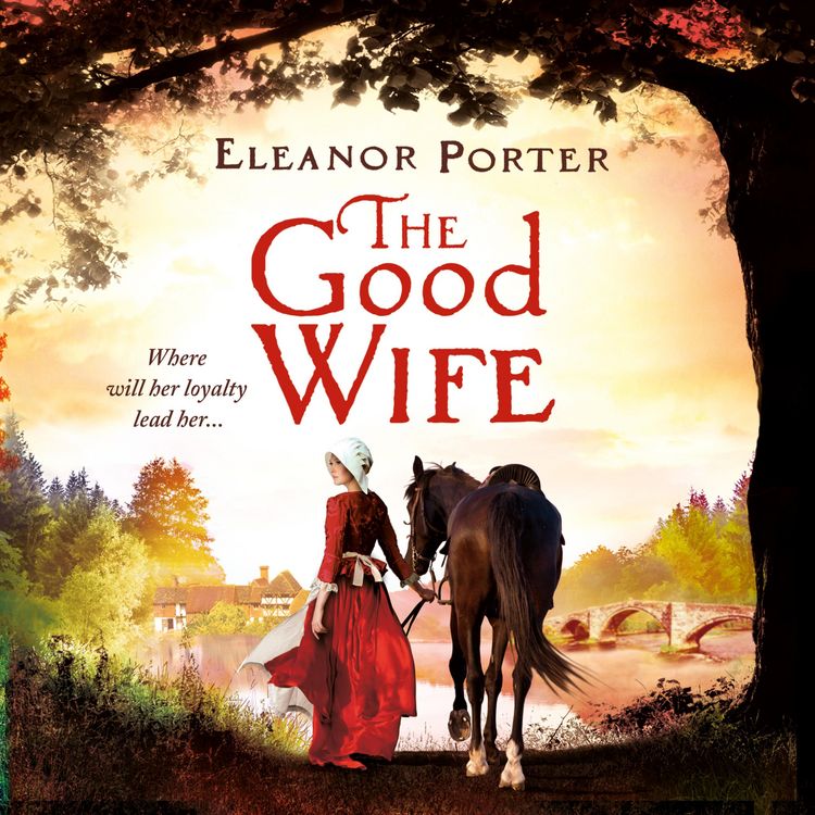 Produktbild: The Good Wife