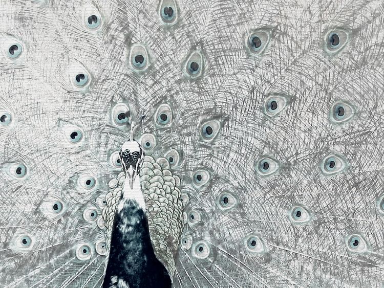 Produktbild: Pfau (Puzzle)