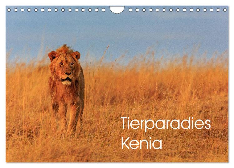 Produktbild: Tierparadies Kenia (Wandkalender 2026 DIN A4 quer), CALVENDO Monatskalender
