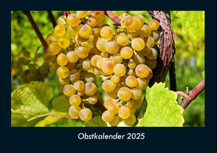 Produktbild: Obstkalender 2025 Fotokalender DIN A4