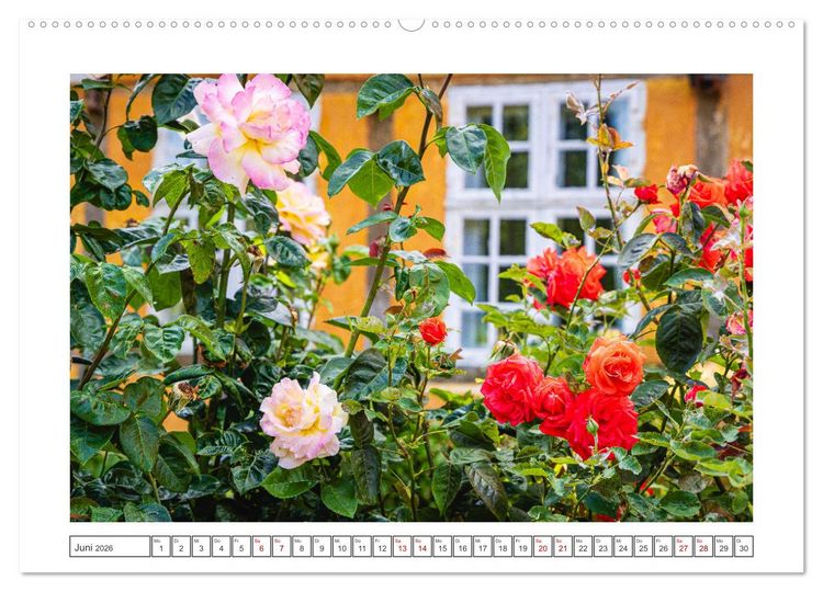 Produktbild: Lolland - Harmonie von Mensch und Natur (Wandkalender 2026 DIN A2 quer), CALVENDO Monatskalender