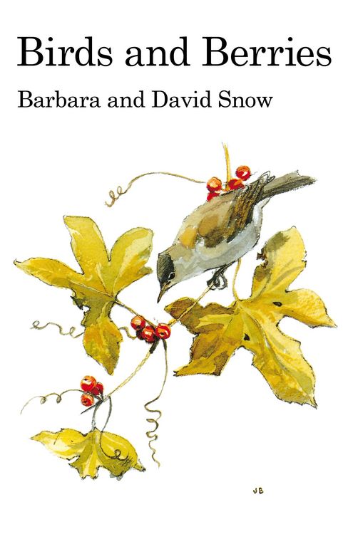 Produktbild: Birds and Berries