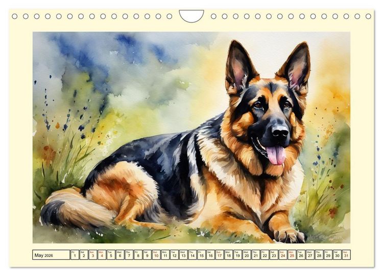 Produktbild: German Shepherds - classics around the globe (Wall Calendar 2026 DIN A4 landscape), CALVENDO 12 Month Wall Calendar