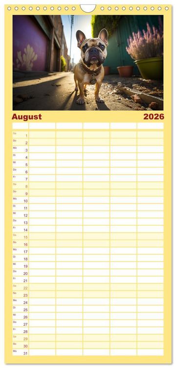 Produktbild: Familienplaner 2026 - Franz&ouml;sische Bulldoggen mit 5 Spalten (Wandkalender, 21 x 45 cm) CALVENDO