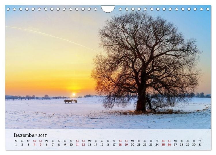 Produktbild: Bernau bei Berlin. Ein Jahr in Bildern (Wandkalender 2027 DIN A4 quer), CALVENDO Monatskalender