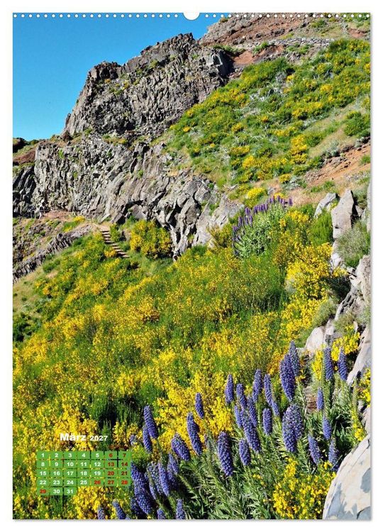 Produktbild: Madeiras Flora. Wundersame Wildblumen und exotische Geh&ouml;lze (hochwertiger Premium Wandkalender 2027 DIN A2 hoch), Kunstdruck in Hochglanz