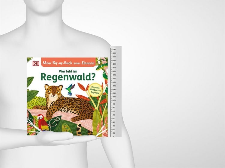 Produktbild: Mein Pop-up-Buch zum Staunen. Wer lebt im Regenwald?