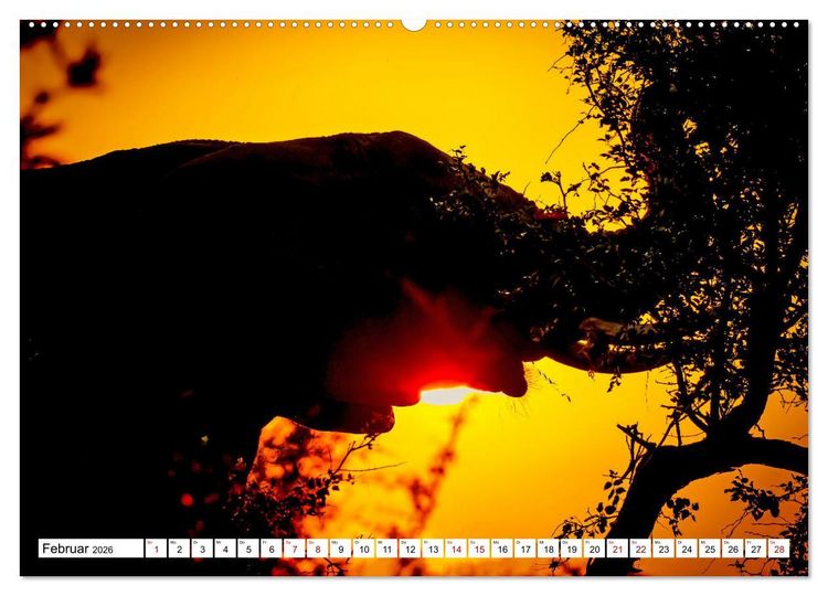 Produktbild: Elefanten-Traum - Herzenssache Afrika (Wandkalender 2026 DIN A2 quer), CALVENDO Monatskalender