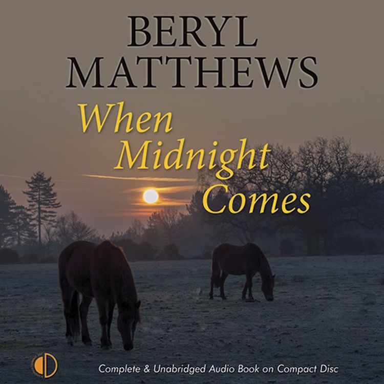 Produktbild: When Midnight Comes