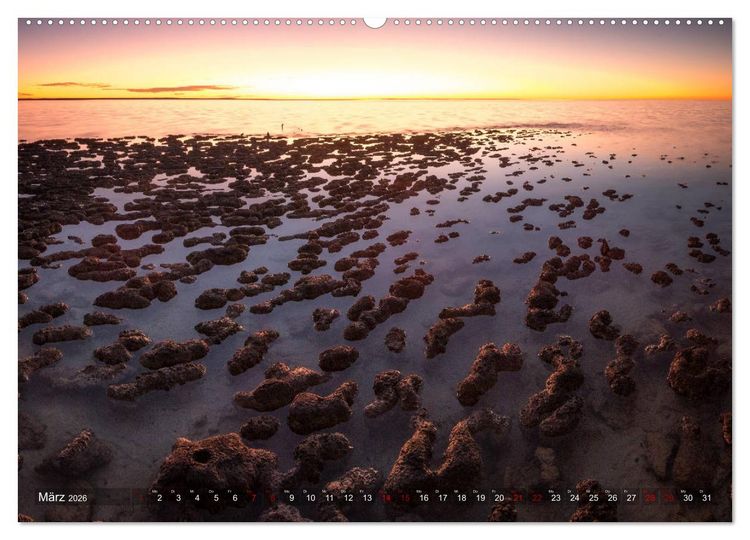 Produktbild: Das wilde Australien (hochwertiger Premium Wandkalender 2026 DIN A2 quer), Kunstdruck in Hochglanz