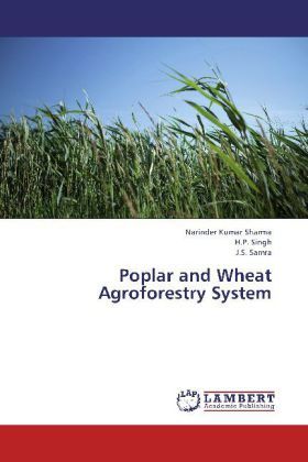 Produktbild: Sharma, N: Poplar and Wheat Agroforestry System