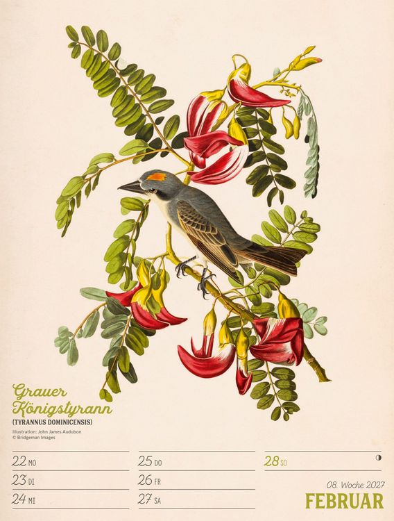 Produktbild: Wunderbare Vogelwelt Wochenplaner Kalender 2027
