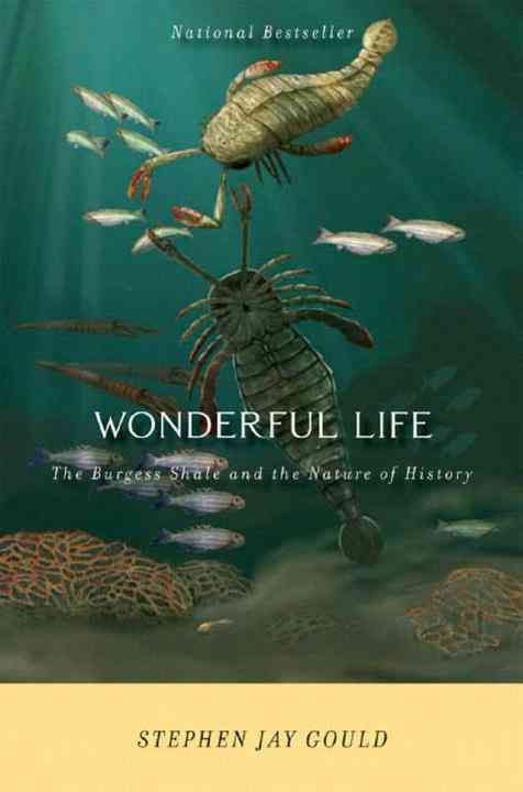Produktbild: Wonderful Life