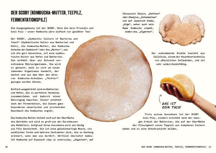 Produktbild: Kombucha do it yourself