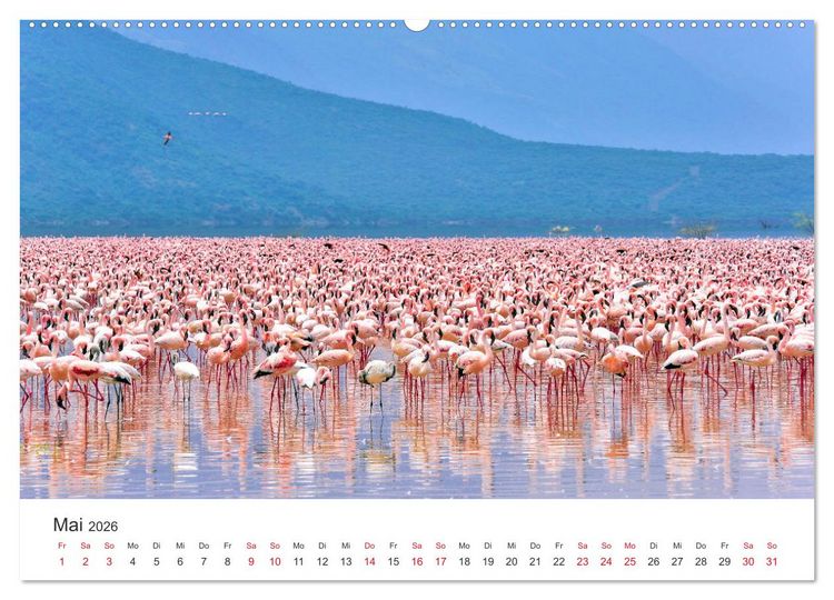 Produktbild: Kenia - Ein Land wie Afrika (Wandkalender 2026 DIN A2 quer), CALVENDO Monatskalender