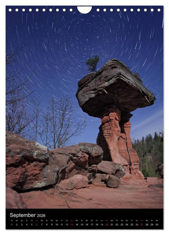 Produktbild: NATURWUNDER PF&Auml;LZERWALD (Wandkalender 2026 DIN A4 hoch), CALVENDO Monatskalender