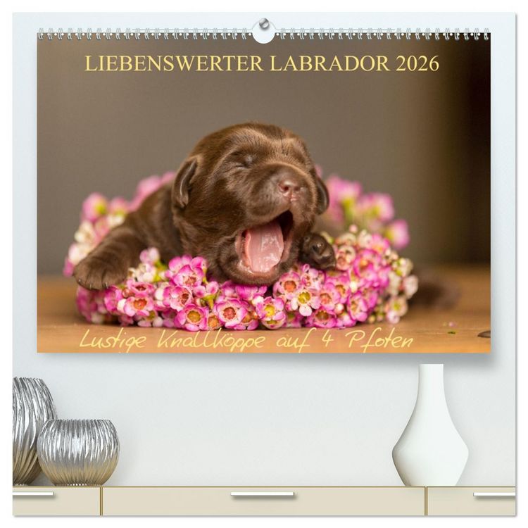 Produktbild: Liebenswerter Labrador 2026 (hochwertiger Premium Wandkalender 2026 DIN A2 quer), Kunstdruck in Hochglanz