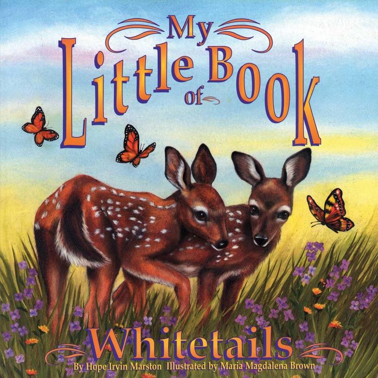 Produktbild: My Little Book of Whitetails
