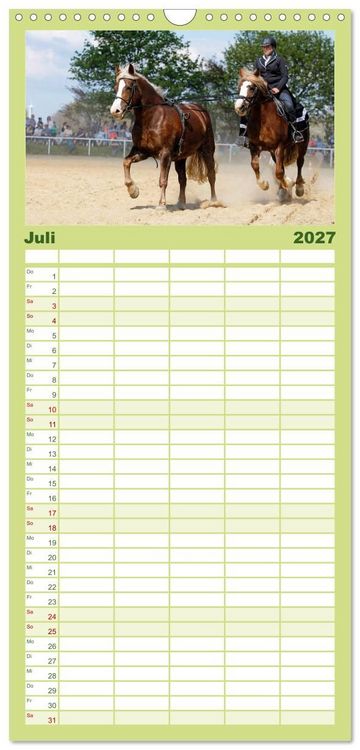 Produktbild: Familienplaner 2027 - Schwere Pferde mit 5 Spalten (Wandkalender, 21 x 45 cm) CALVENDO