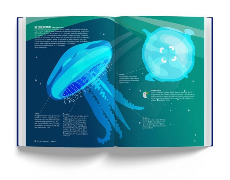 Produktbild: Das Nordseebuch