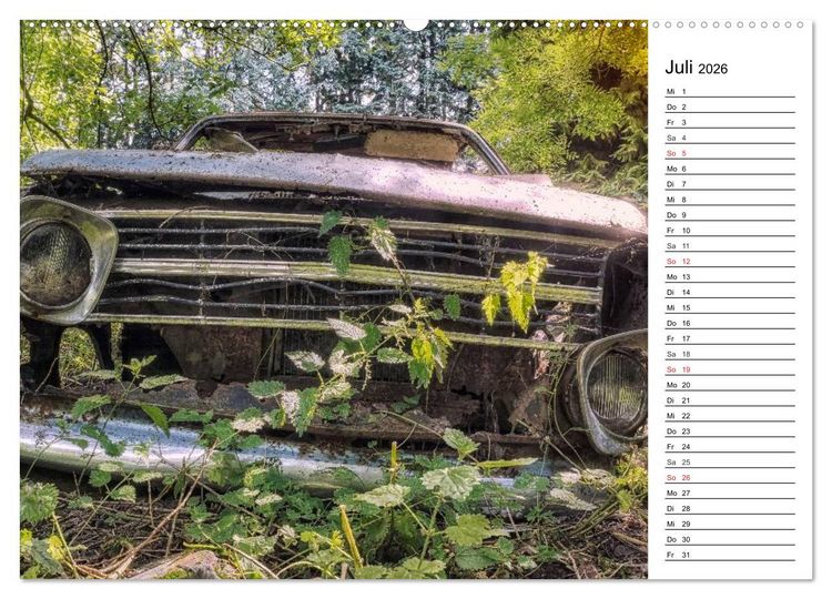 Produktbild: Rostlauben - vergessene Klassiker (Wandkalender 2026 DIN A2 quer), CALVENDO Monatskalender