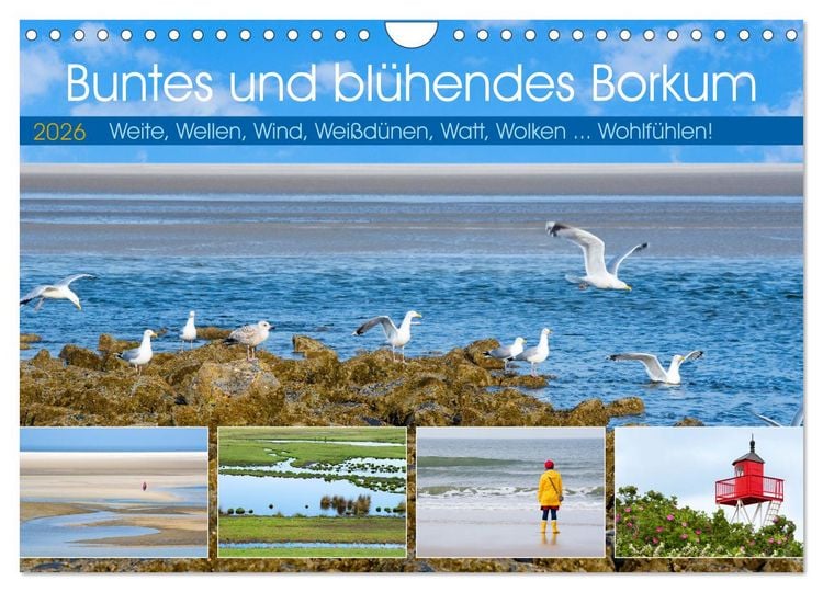 Produktbild: Buntes und bl&uuml;hendes Borkum (Wandkalender 2026 DIN A4 quer), CALVENDO Monatskalender